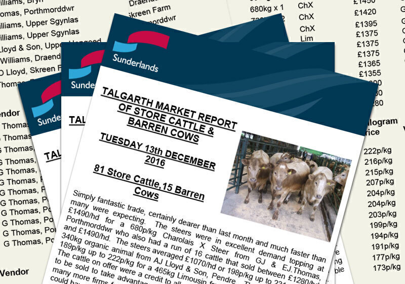 Market Reports