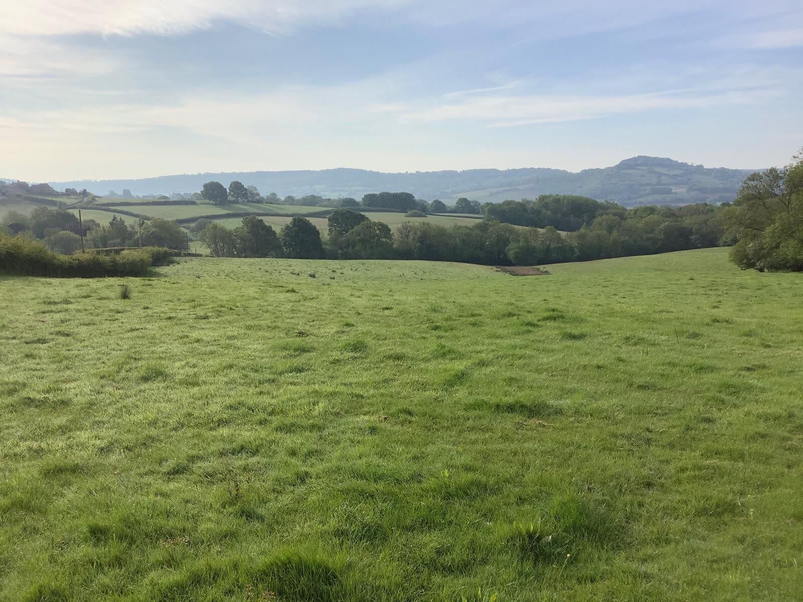 Land Photo