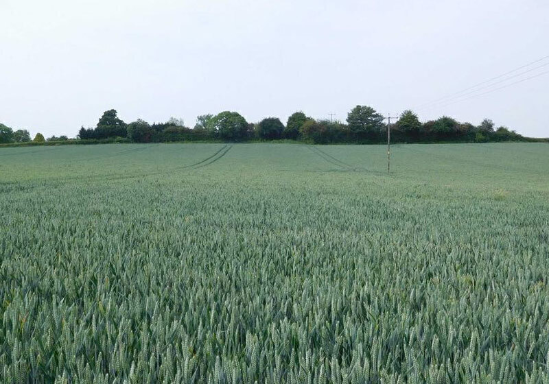 Farm and Land Sales